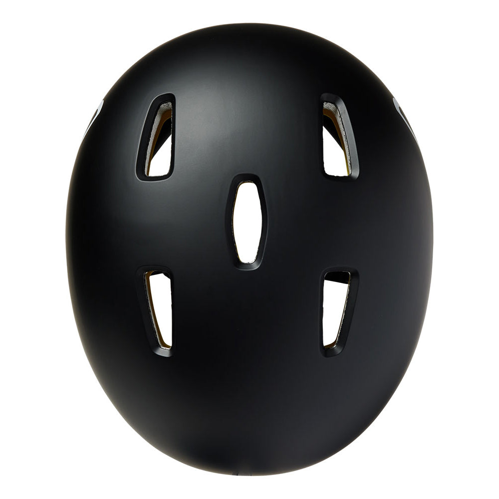 Flight Helmet