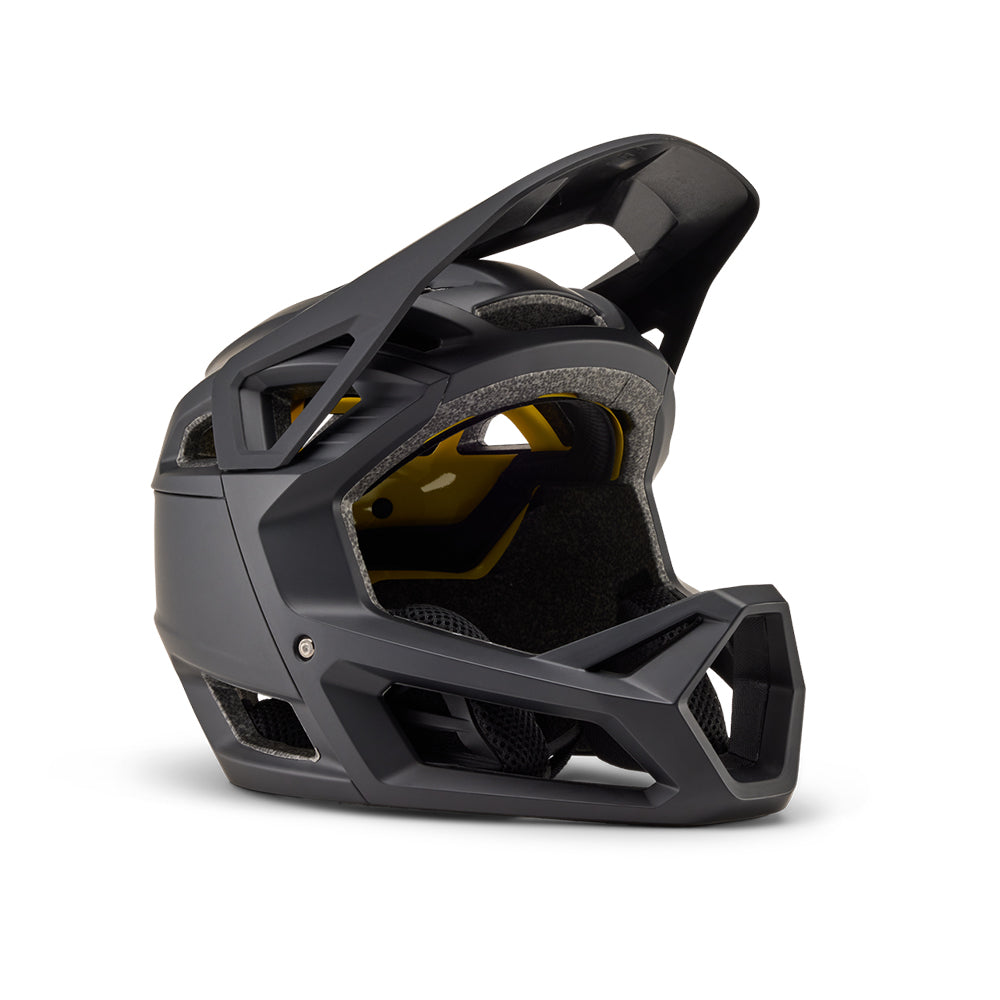 Proframe Matte Black Helmet