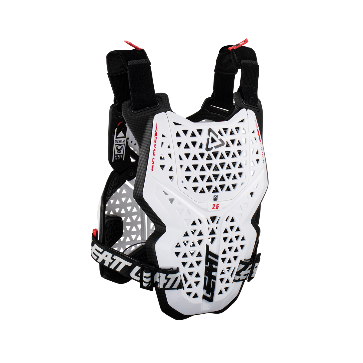 Chest Protector 2.5 Position 5