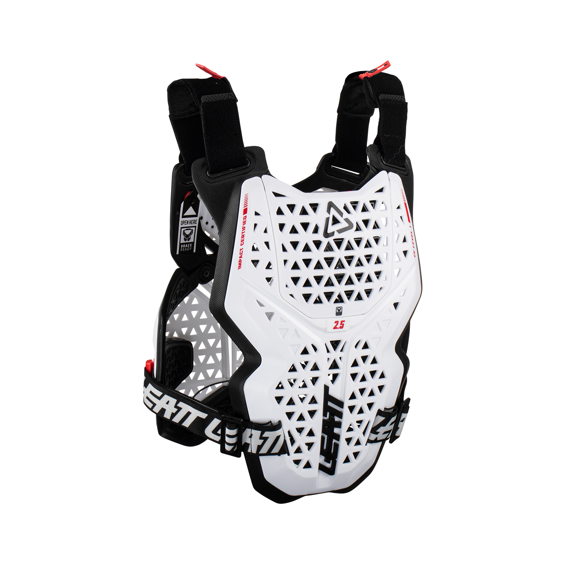 Chest Protector 2.5