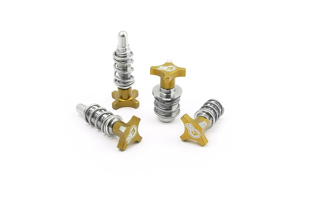 S3 Lever and MC adjusters kit AJP BRAKTEC Silver