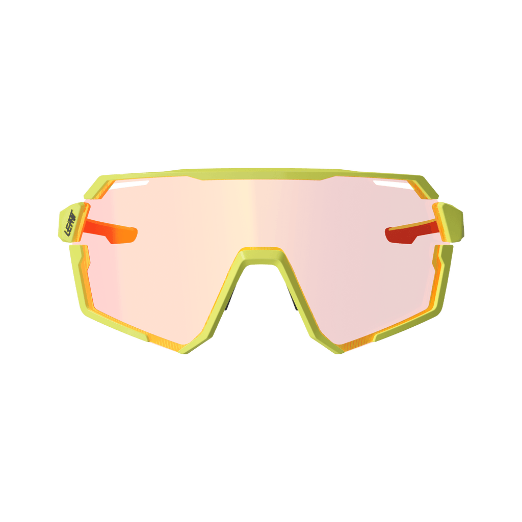 Sunglasses RideViz Pro