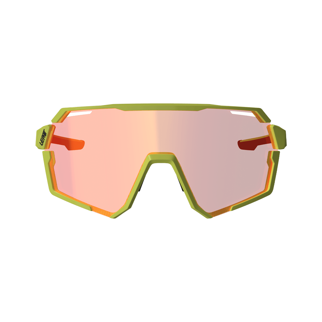 Sunglasses RideViz Pro