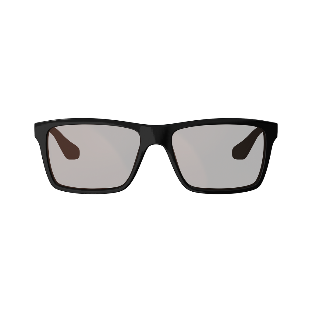Sunglasses TheViz Sierra