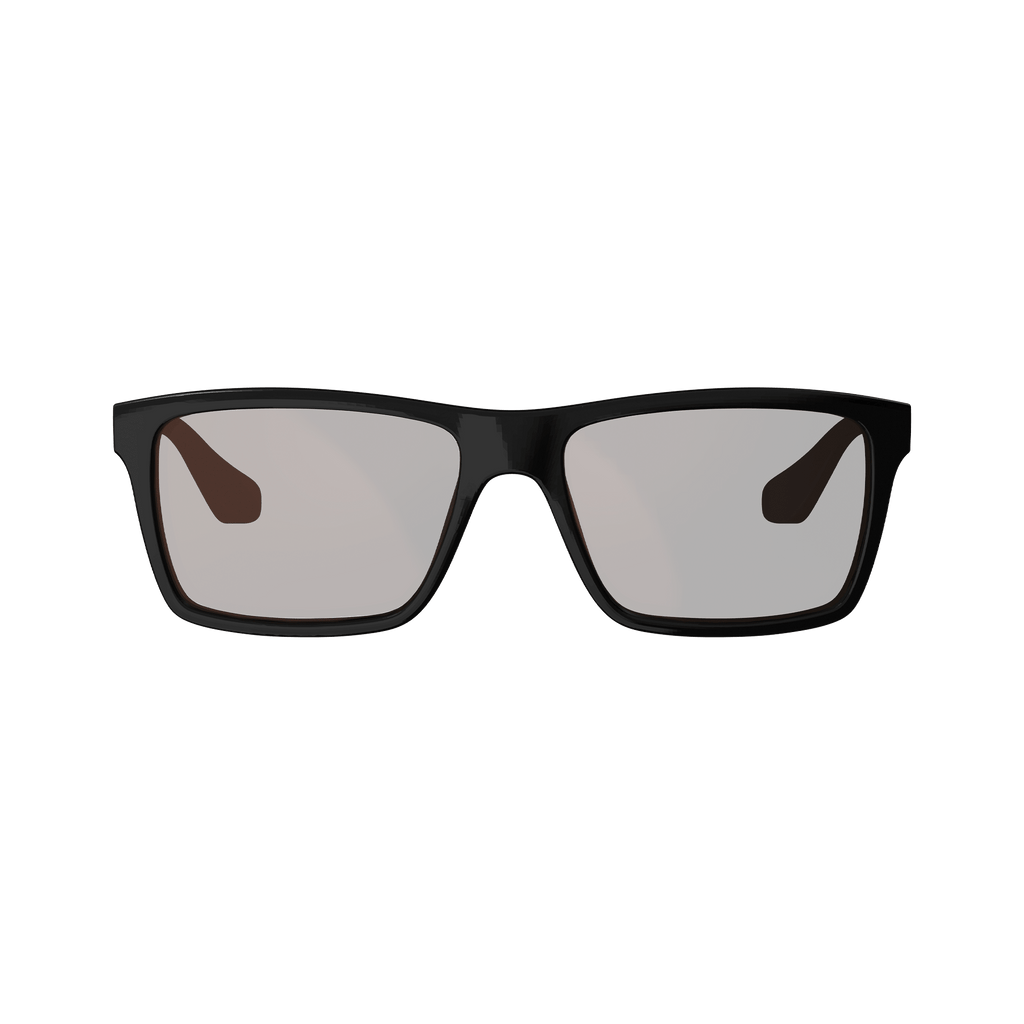 Sunglasses TheViz Sierra