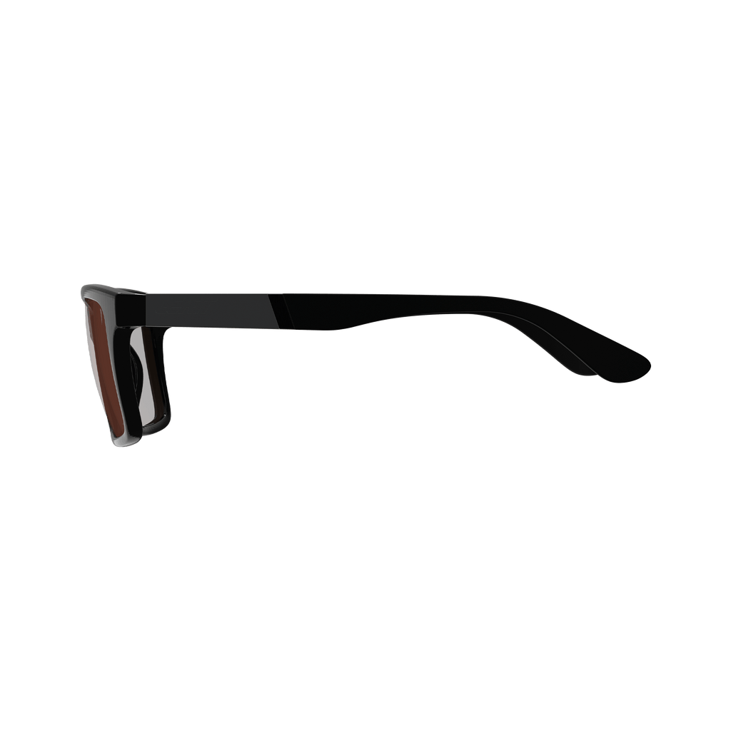 Sunglasses TheViz Sierra