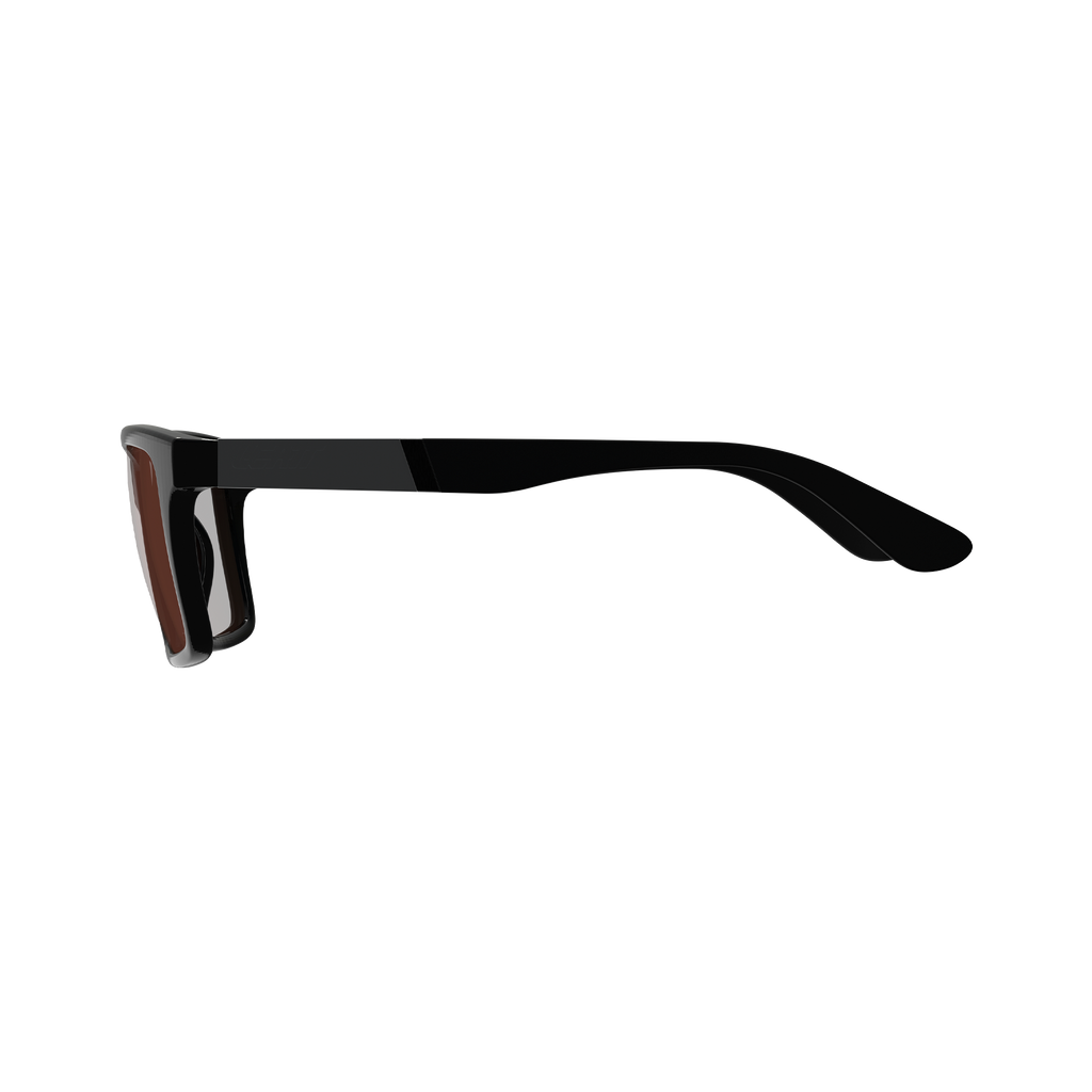 Sunglasses TheViz Sierra