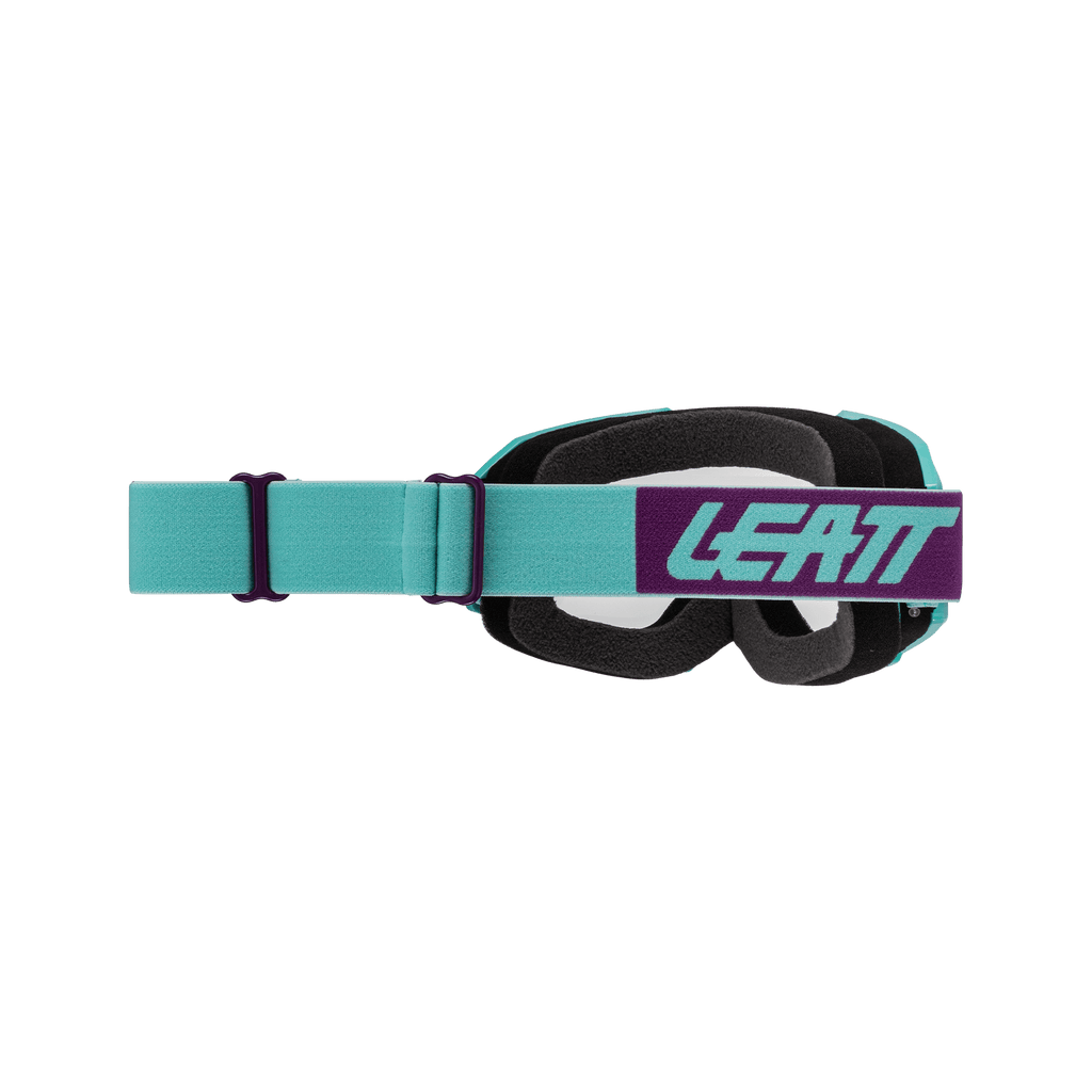 Goggle Vizion 2.5