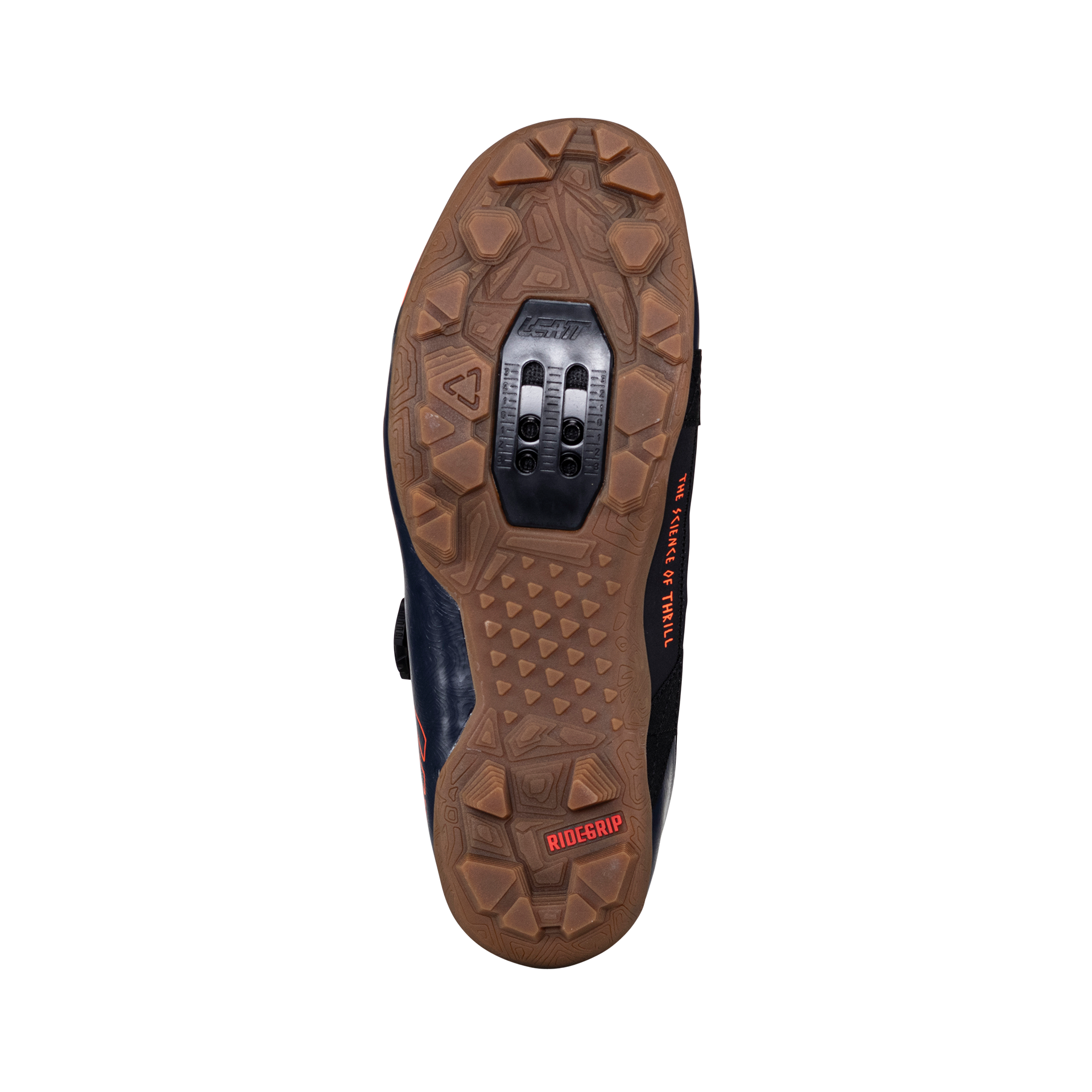 Shoes ProClip 8.0 Endurance