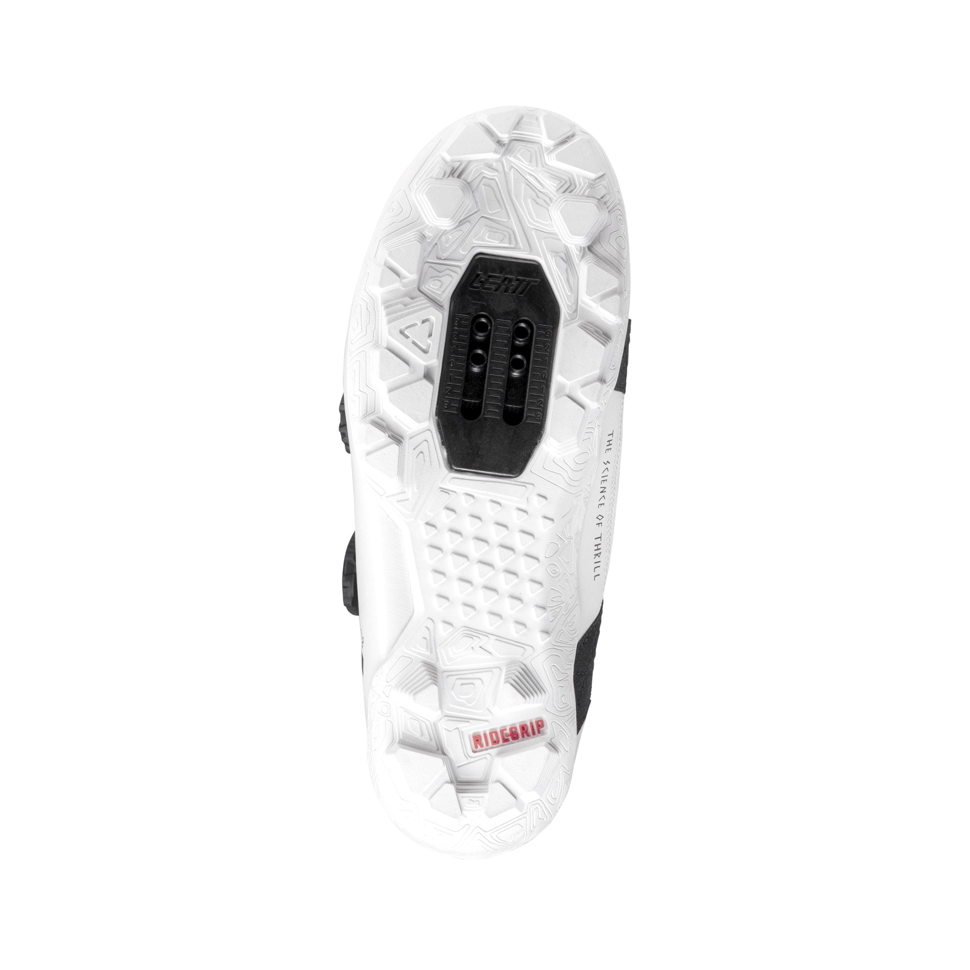 Shoes ProClip 8.0 Race - Women