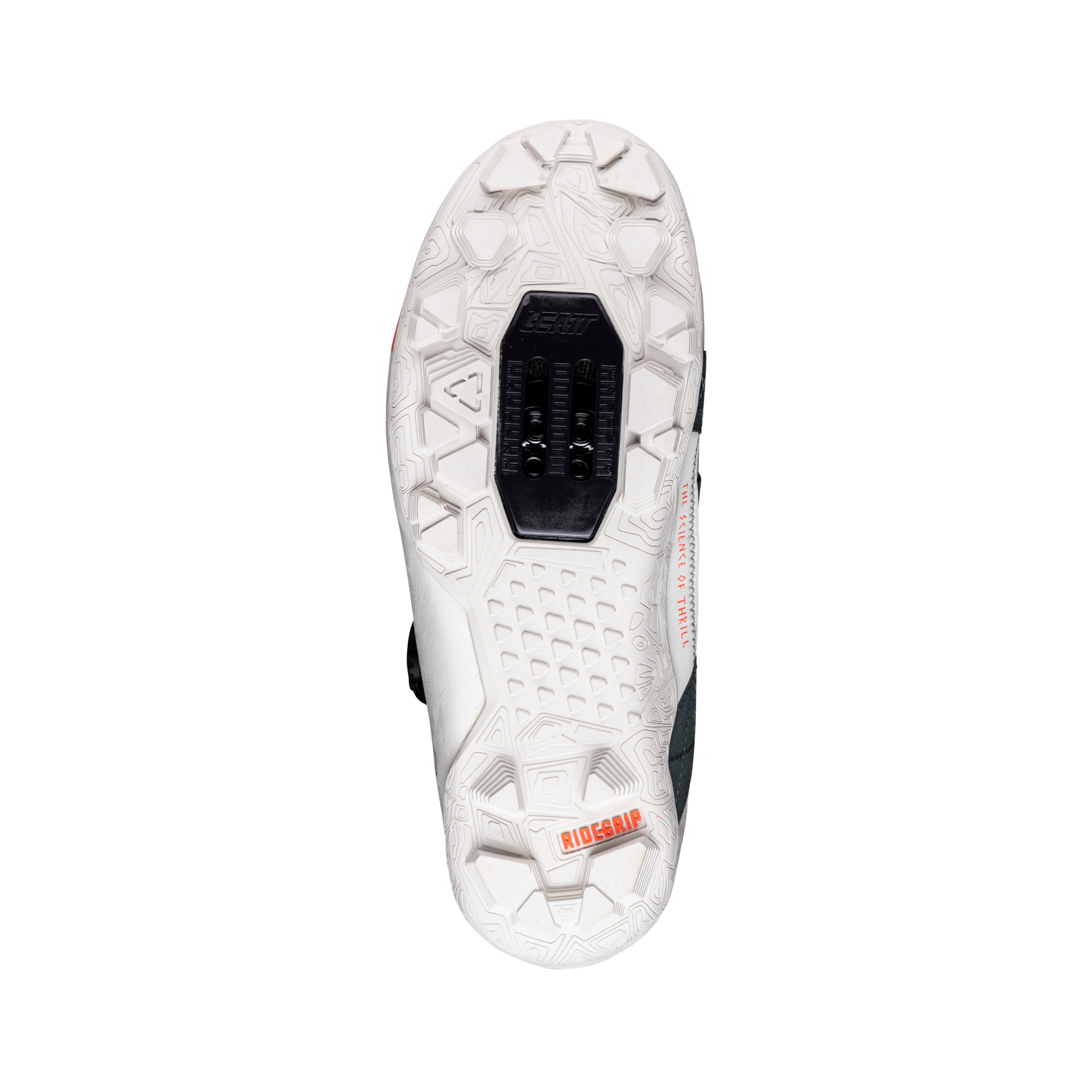 Shoes ProClip 8.0 Endurance