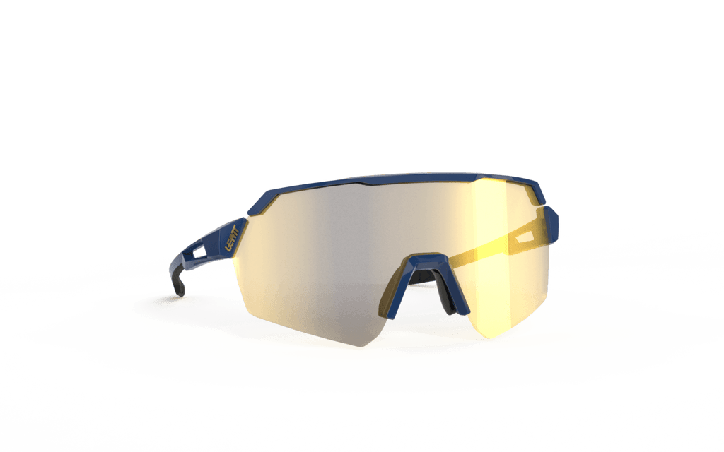 Sunglasses RideViz Lite