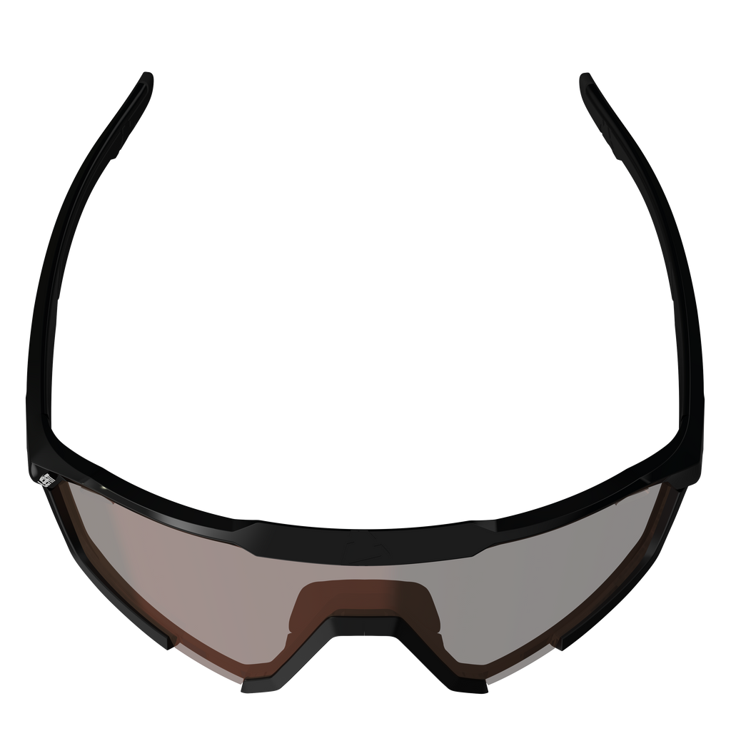 Sunglasses SpeedViz Pro