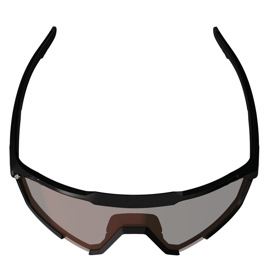 Sunglasses SpeedViz Pro