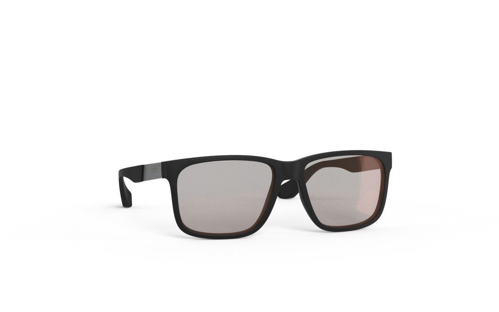 Sunglasses TheViz Sierra