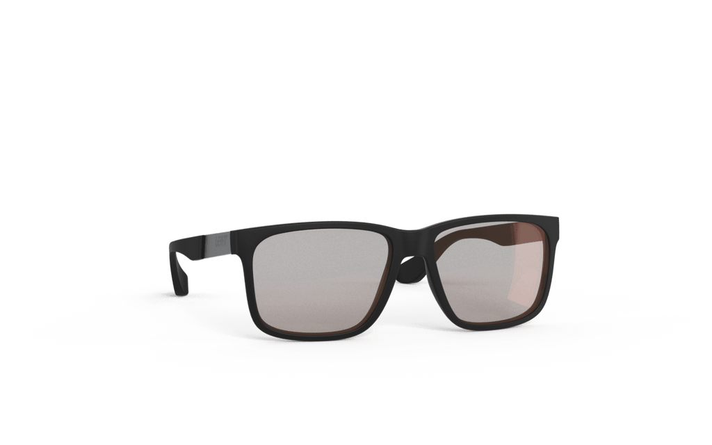 Sunglasses TheViz Sierra