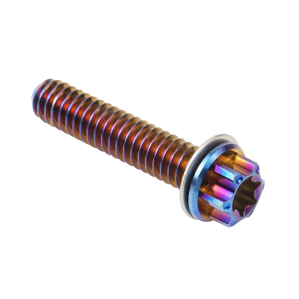 Cam Tappet Cover Screws Bolts Kit For Harley Road King Electra Street Glide Freewheeler