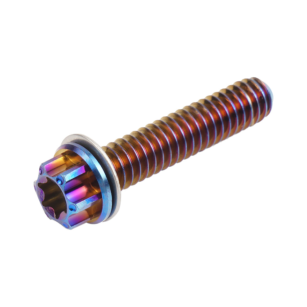 Cam Tappet Cover Screws Bolts Kit For Harley Road King Electra Street Glide Freewheeler