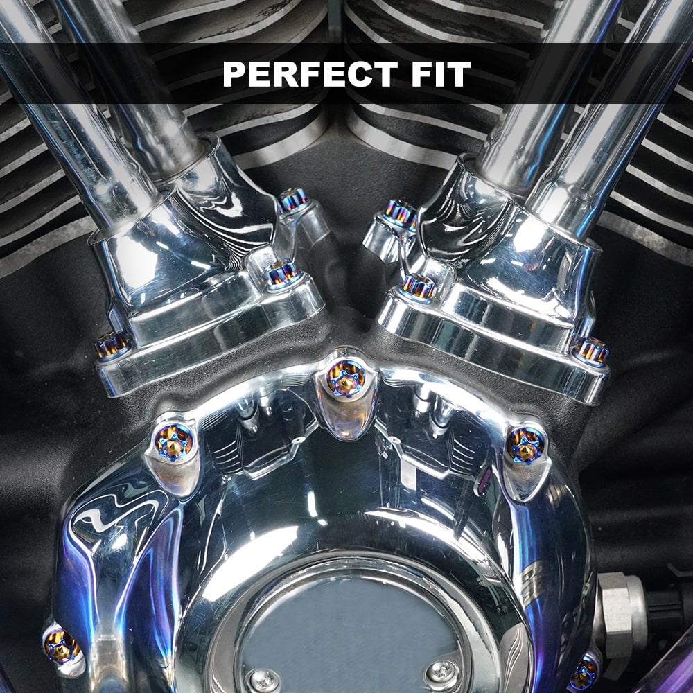 Cam Tappet Cover Screws Bolts Kit For Harley Road King Electra Street Glide Freewheeler