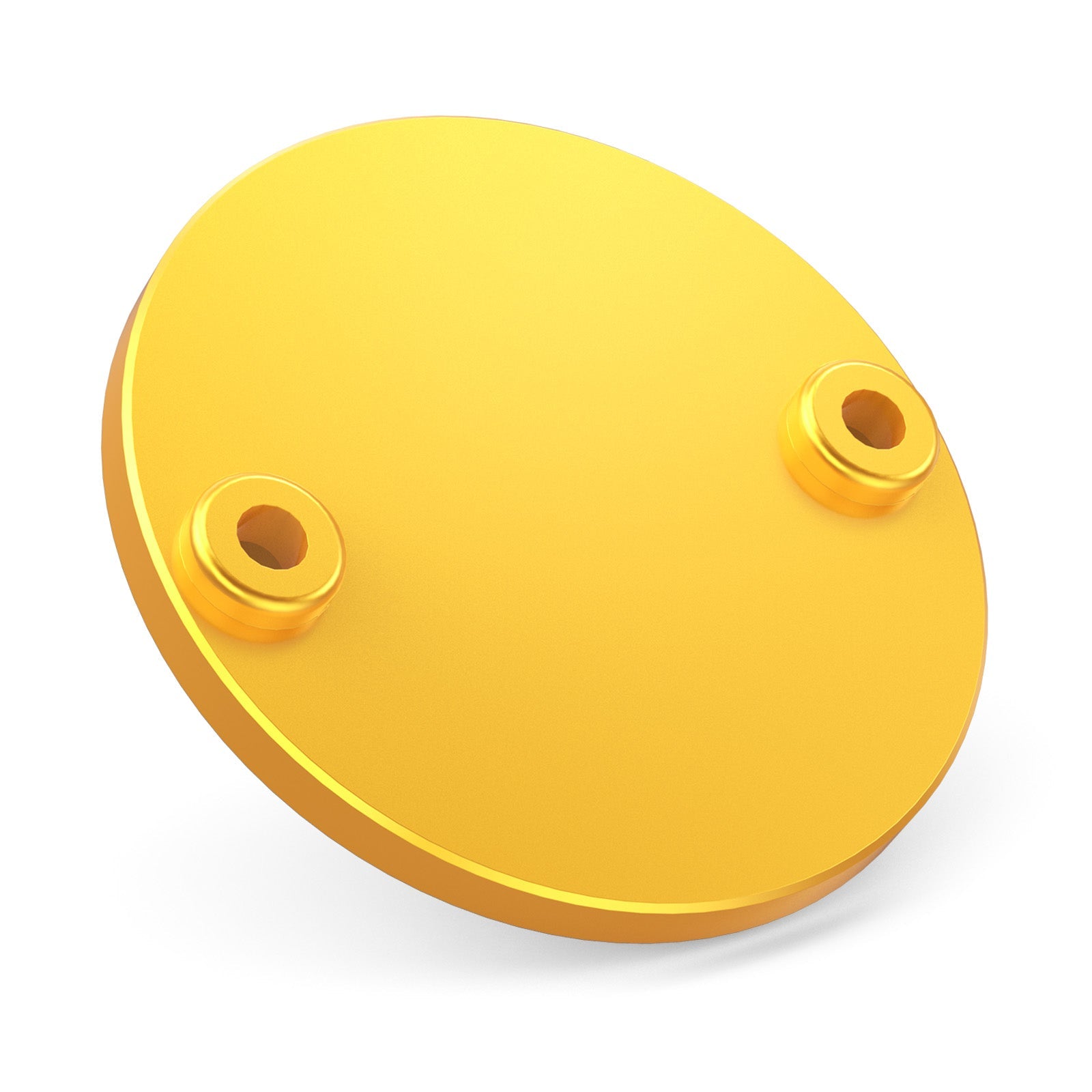 M8 Engine Timer Cover Trim Plate For Harley Road King Electra Street Glide Ultra Limited