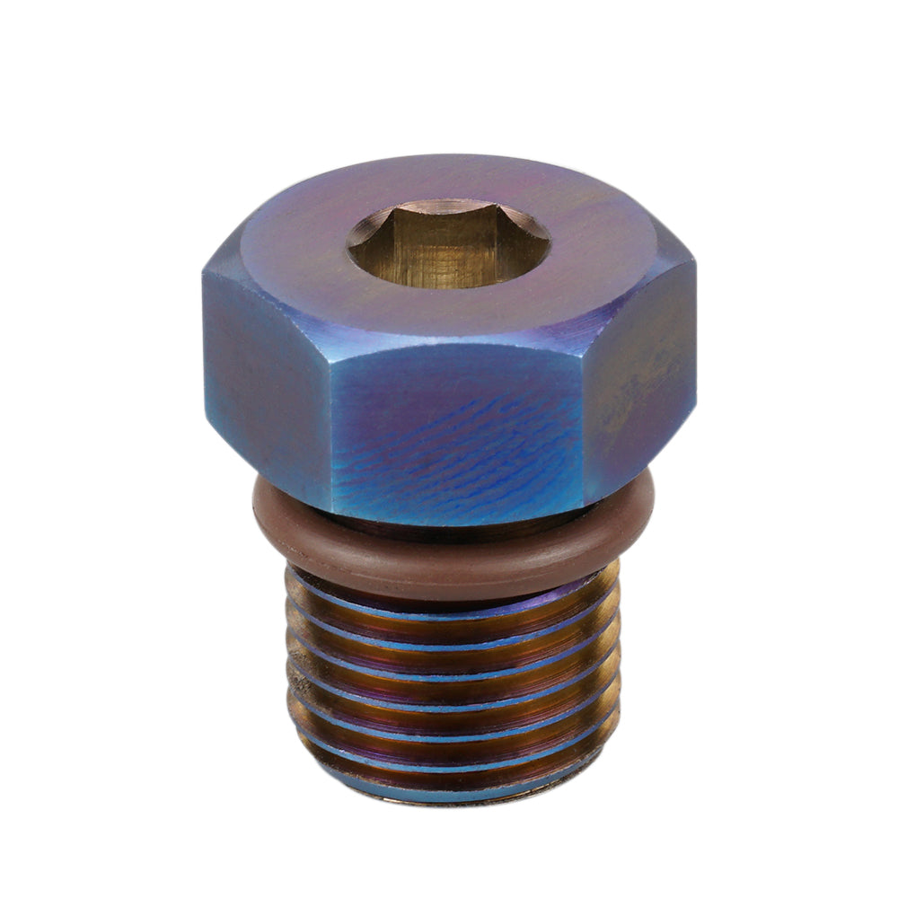 Magnetic Oil Drain Bolts Plugs Kit For Harley Road King Electra Street Glide Freewheeler