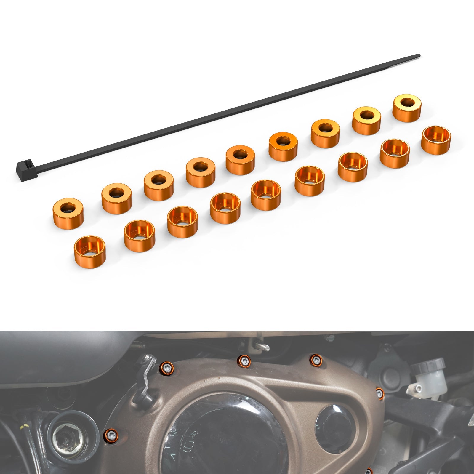 Metallic Primary Engine Cover Bolts Dress Kit For Harley Sportster S Pan America Nightster